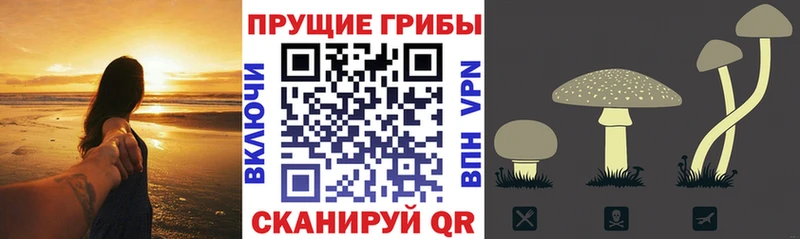 наркошоп  Алдан  Галлюциногенные грибы мухоморы 